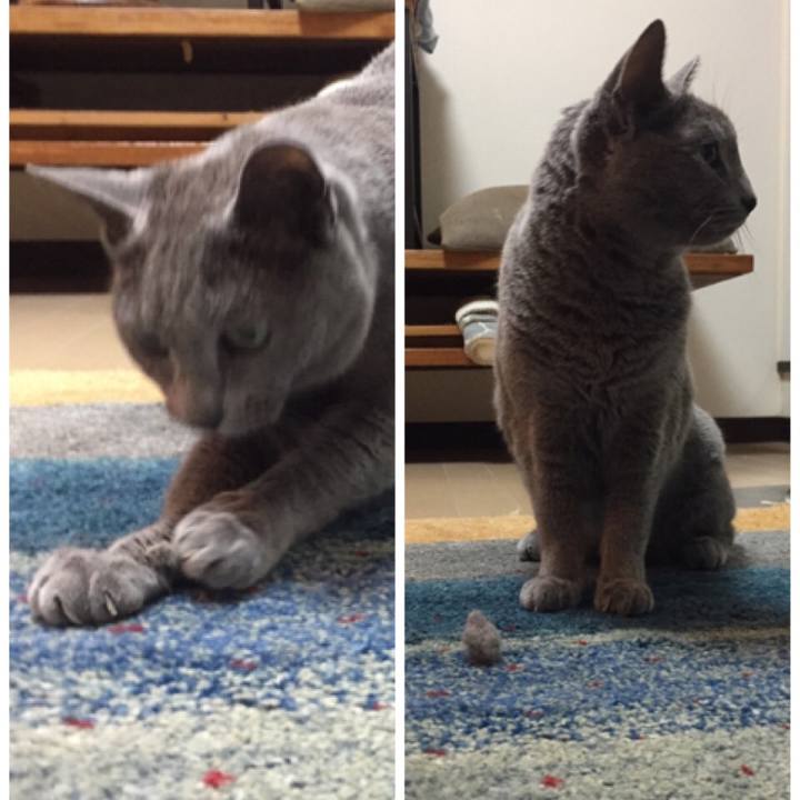 60809dd0 63d7 4b78 b67f 60318178f5fd 1560294667016