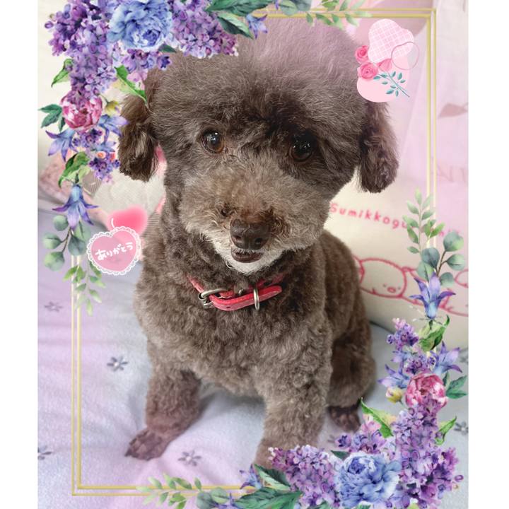 6080a42c 16e8 44de b28b eaa3254c0f1b 1687210855152