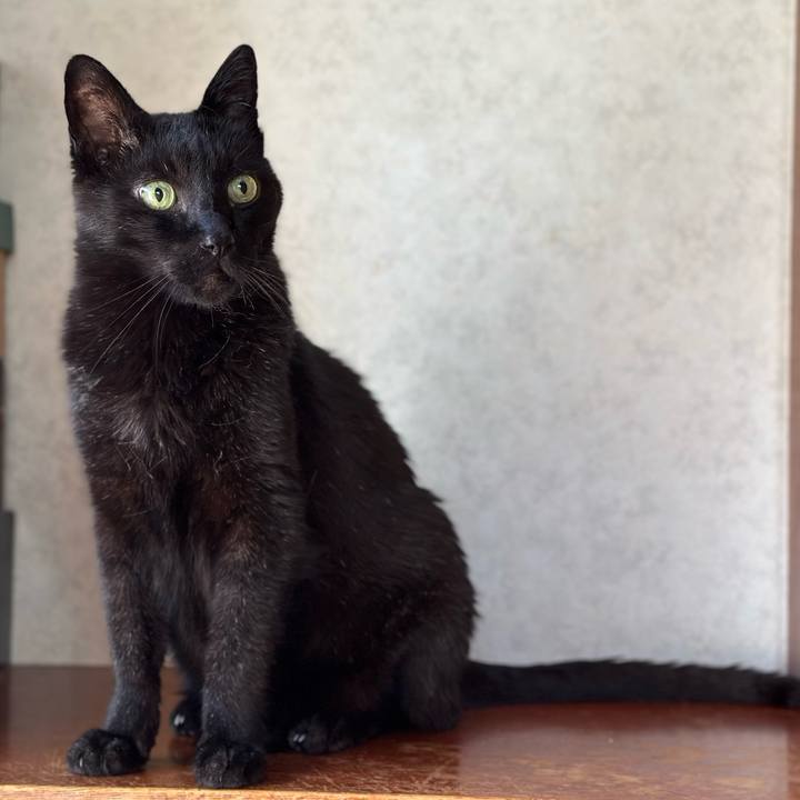 6080c6e4 bc61 4543 8e02 9a87acb75a9d 1685753540933