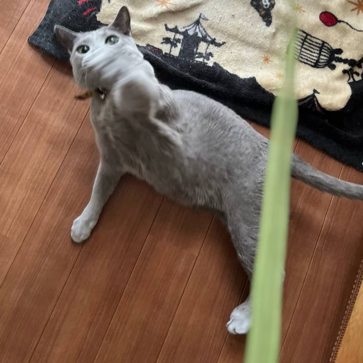 6080e2ff 7cd6 4e31 8e72 d302d8814bfd 1711060477821