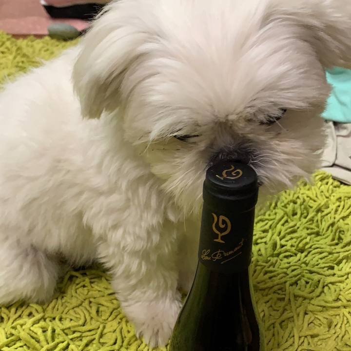 60812905 007b 4ef5 a342 9df508ab73bd 1637338604138