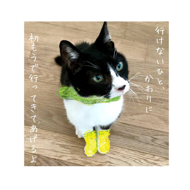 608134f3 3b8f 46be a89d 09dae60dfb4b 1609642509206