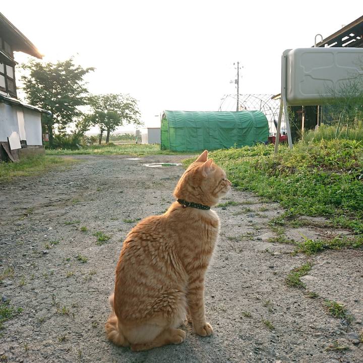 608137e2 9f25 4556 8434 399692d94519 1655588623121