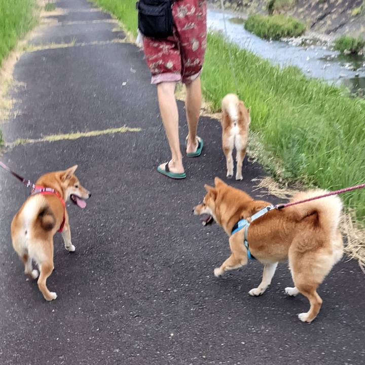 608149bf cae6 430f 87d7 e4da90f8eedb 1724068617502