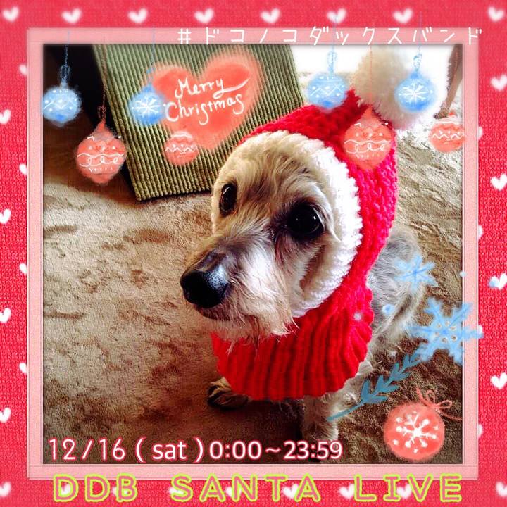 608176e9 de03 4c08 bba7 92f1ae10b9ba 1512773501311