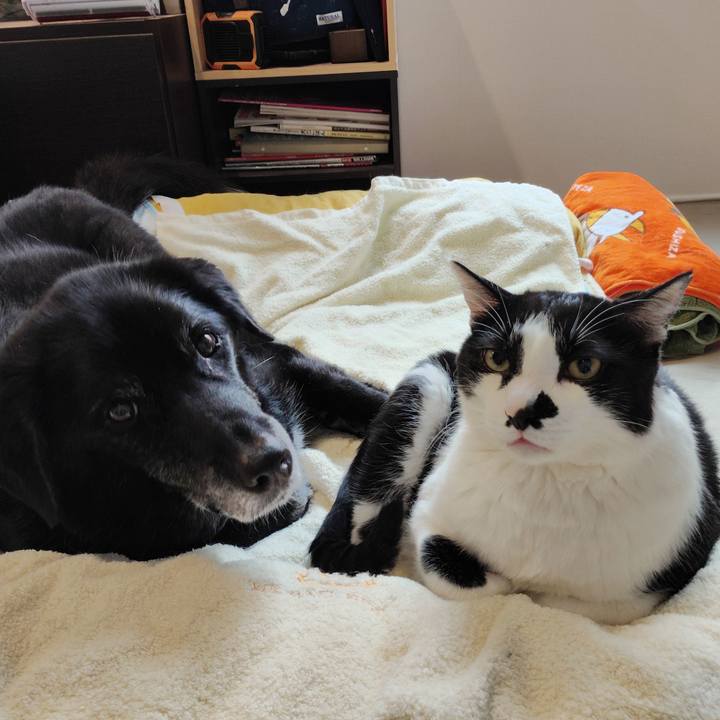 60819bc4 37a3 4fe0 a879 08810fd12833 1776246704294