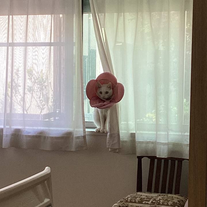 6081d635 97c1 4622 8b79 bcc9326a071a 1683948586289