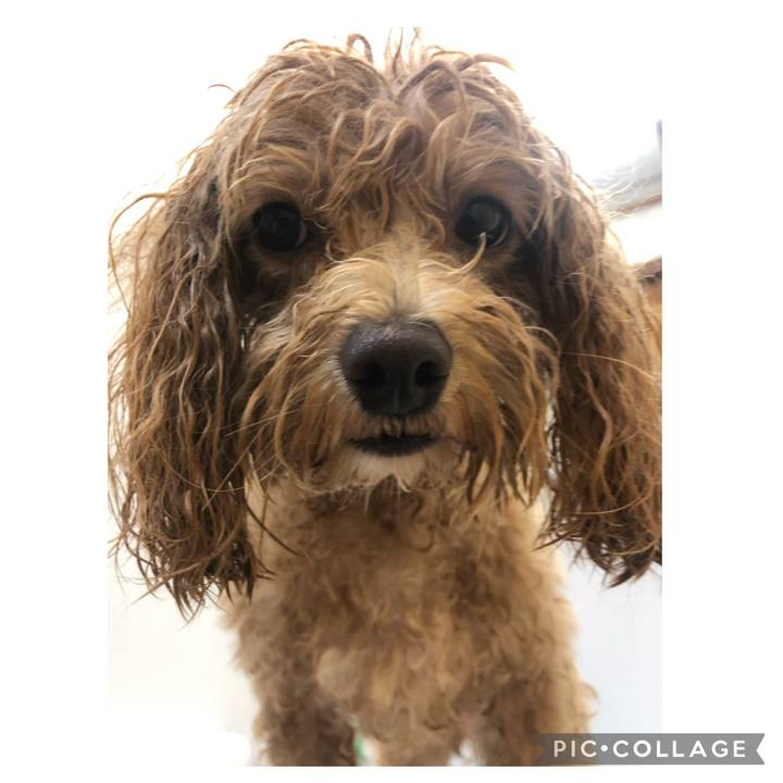 6081eb80 1105 4235 9a26 e980f6d49149 1624813987680