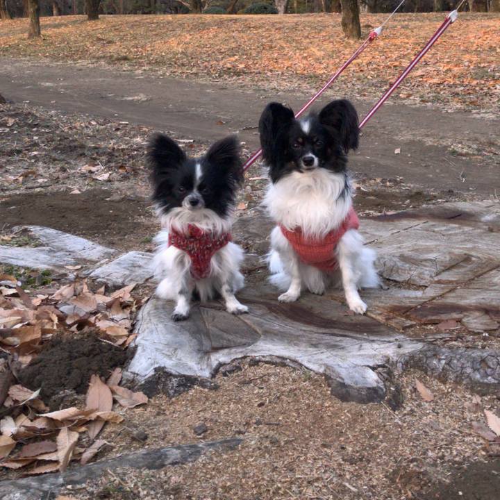 6082300e 0705 4c52 907b ad999e1c6785 1514502424191