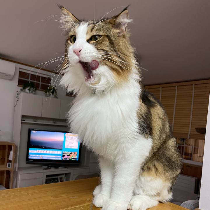 60824c1b 020e 44f8 8a50 71beb9caaed6 1664222787236