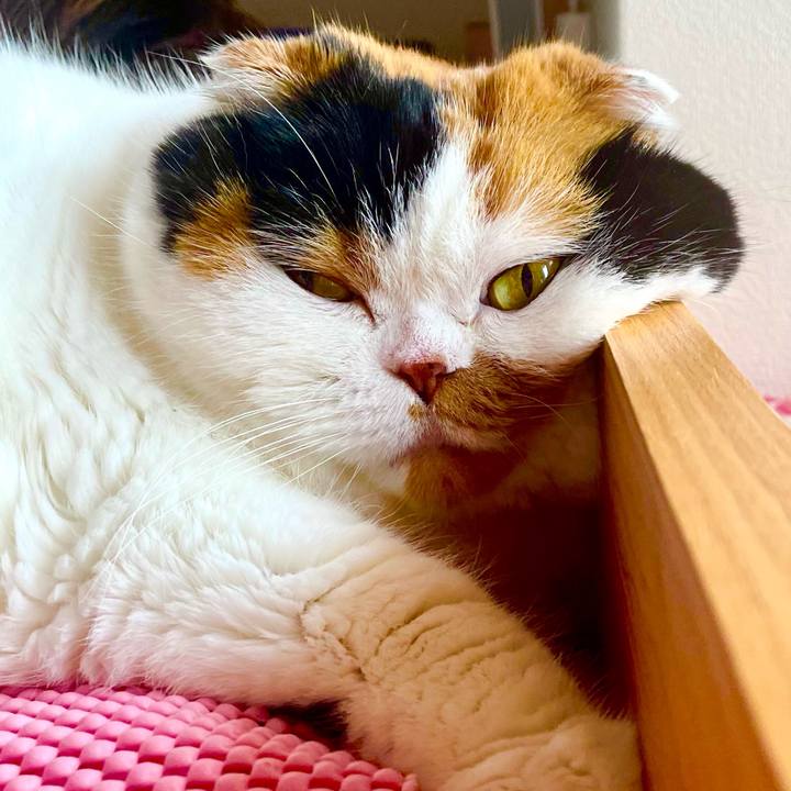 60826bd6 bcd2 4d7b 831c 00e772a52e26 1653118112225