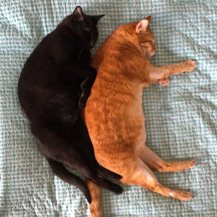 6082989c 2bfe 4361 ae24 f9ed6ddf0ec0 1686454326983