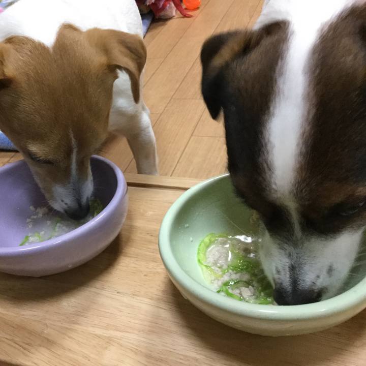 6082c887 db28 46f6 a409 79952f32a784 1551695365469