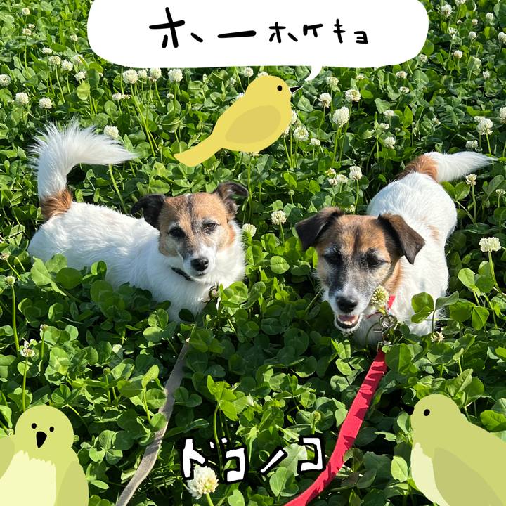 60831480 a9ed 48b0 8ec8 26199db1e1db 1711014017446