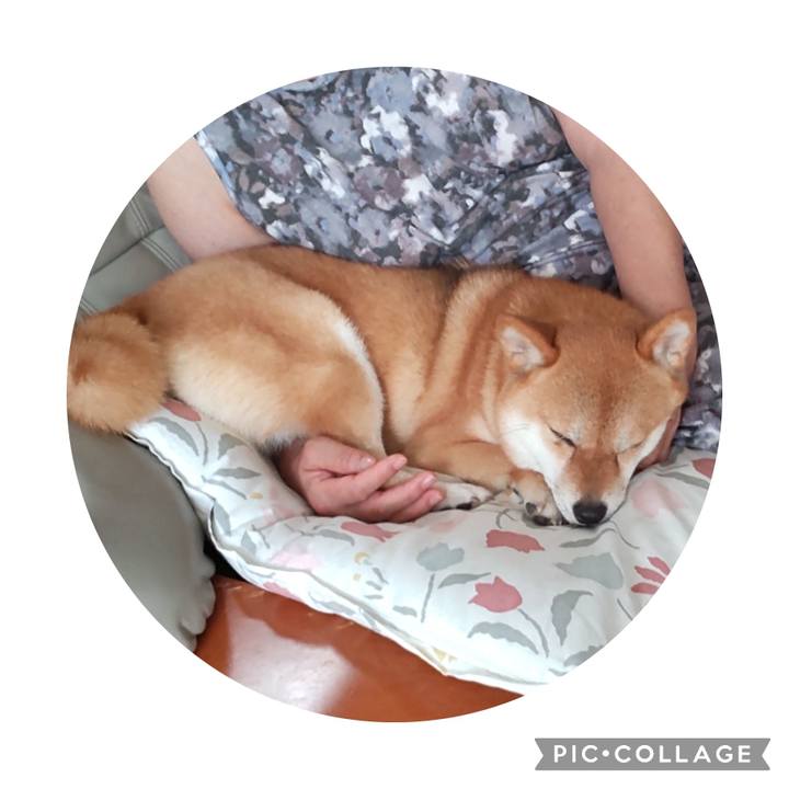 60835935 061e 473e 949a 61e4b3a2b90a 1689396022201