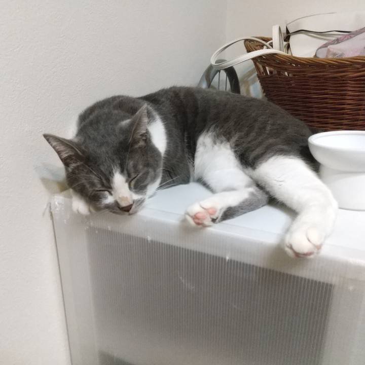 60839a01 267a 4f92 8254 7e1fe4f8ff7f 1632318522579