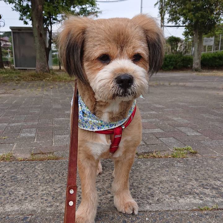 60839d23 1121 478e 945b ae7db1e53b1a 1559080929765