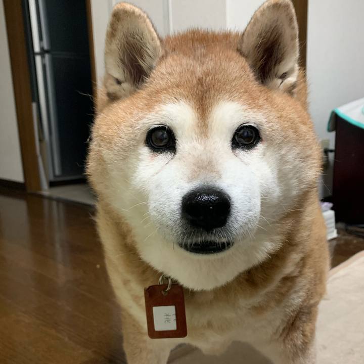 6083bc86 3b24 4518 802d b0a5de568066 1608245742537