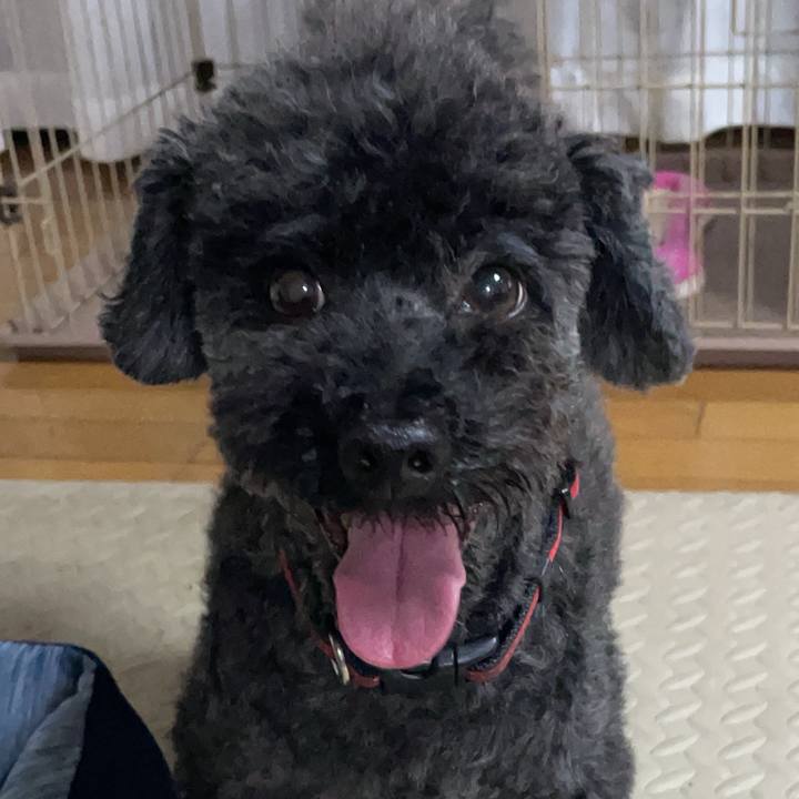 6083dcd0 2362 420c 809f 6d416699d91e 1720348427495