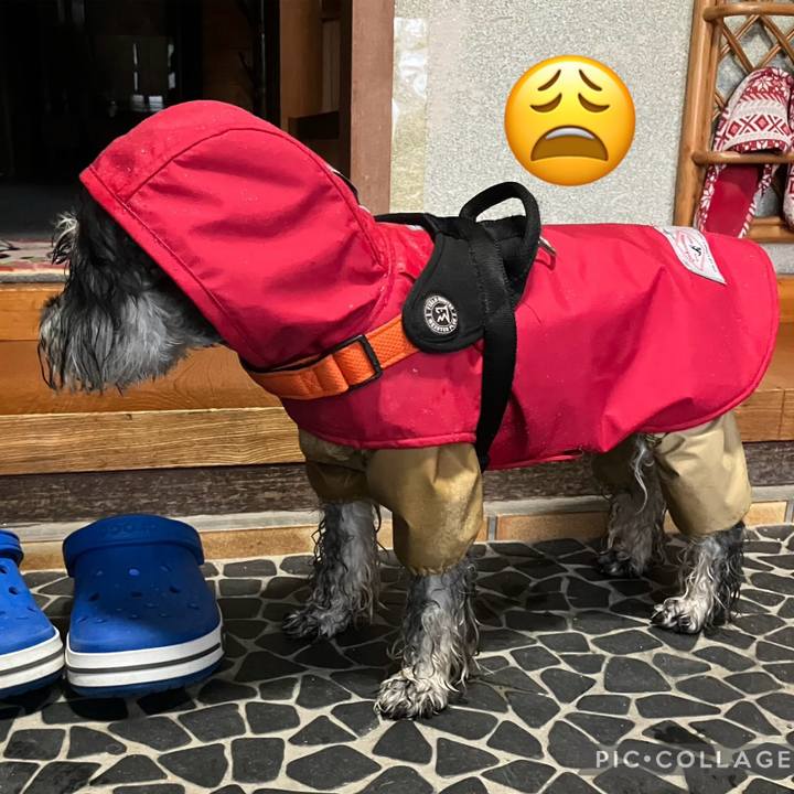 60842add f984 430f 9f91 6440d3180f3f 1725061199152