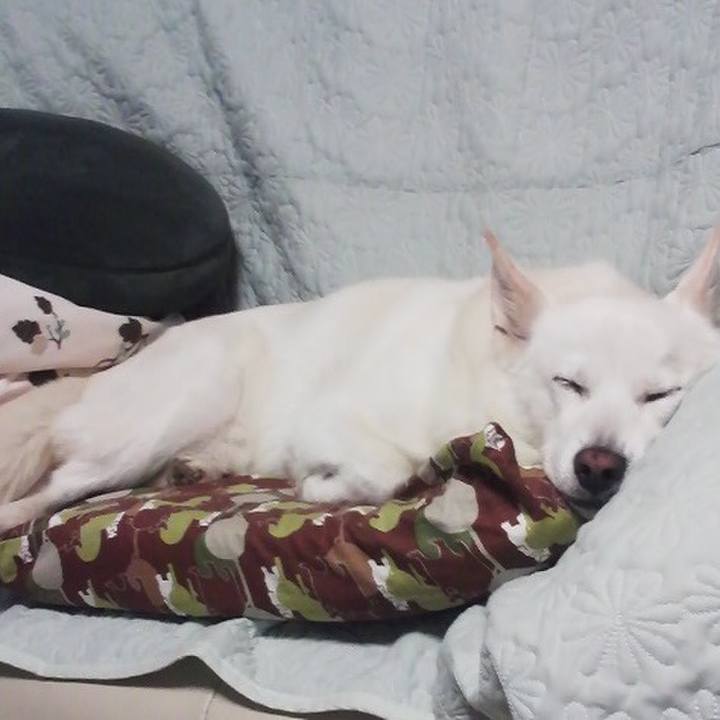 6084a556 7643 45ea b9d8 30e23c5b2f74 1530101206117