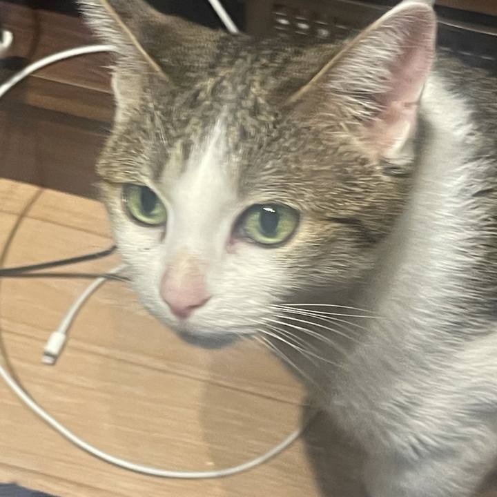 6084b854 d4c4 4c21 b01d b143076aeb2f 1627987636304