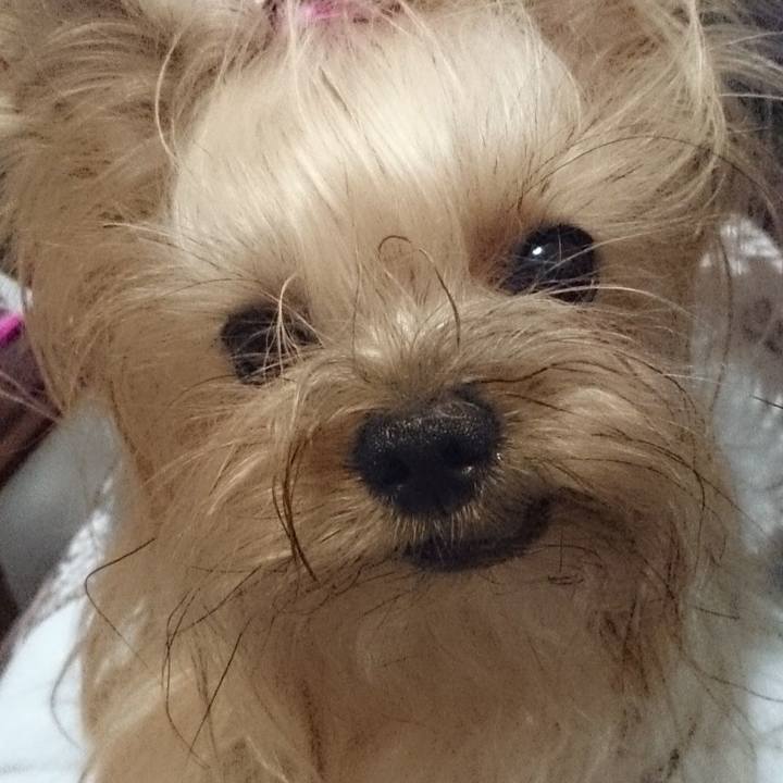 6084cccf da4d 478a bf4e 59c772c4315b 1737772645076