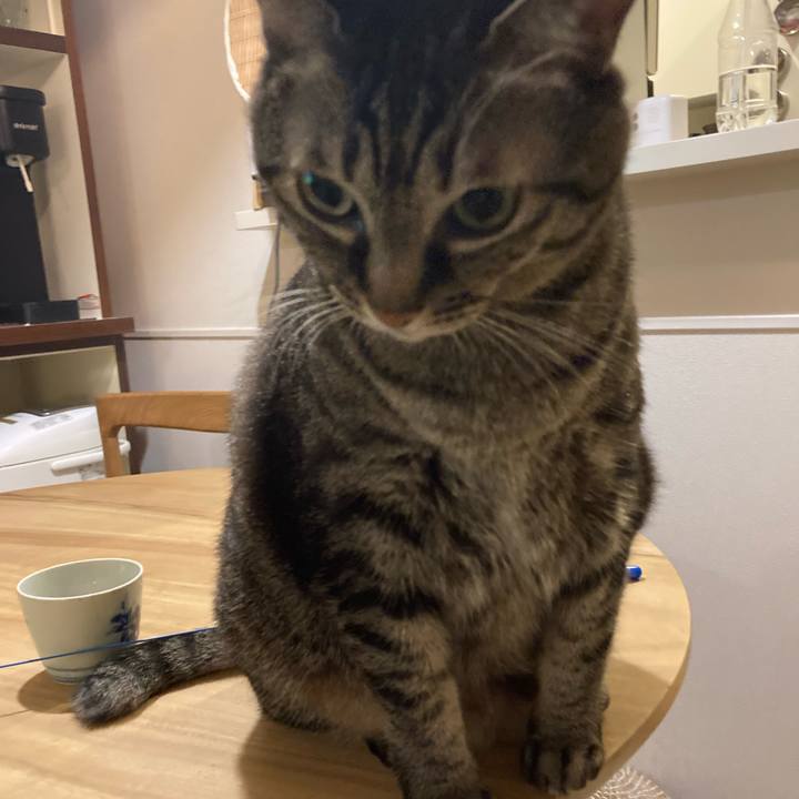 6084d69f 2c6a 4448 b31e 140607b5977d 1664285013174