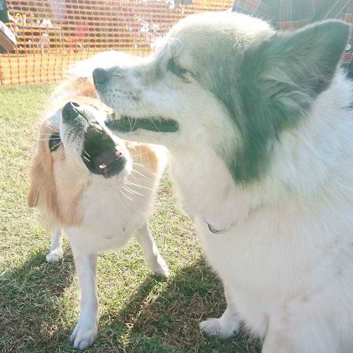 6084d807 5271 4cbf a17f 7c99e88e3c24 1610023122786