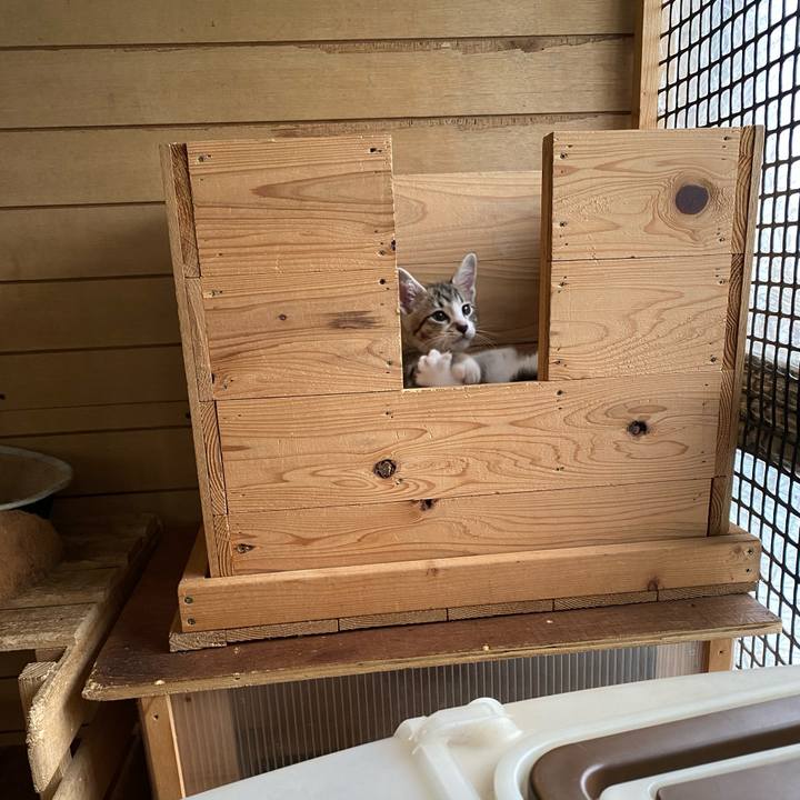 6085165c 932d 4d99 81e6 25cc281911aa 1625616844834