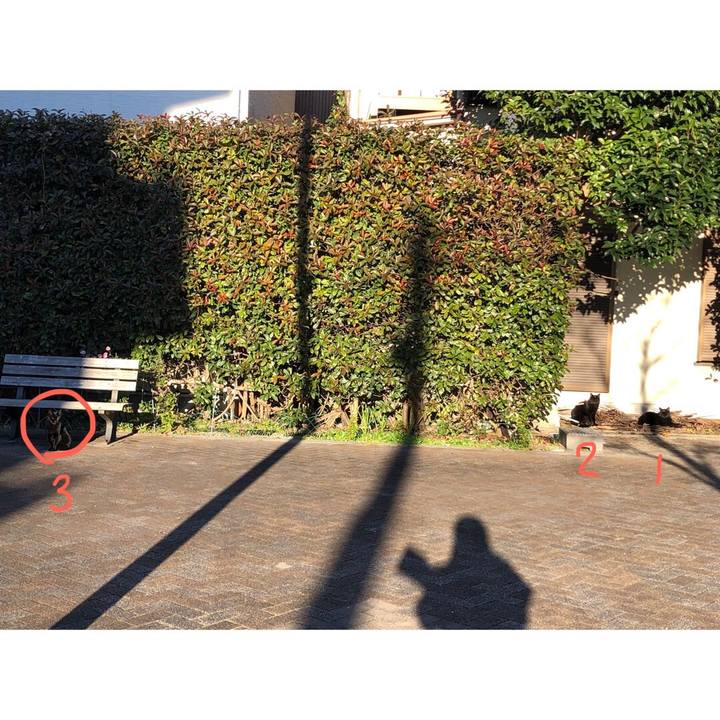 60854cb4 6ab2 418e ac00 b0272f64c7a3 1644042998780