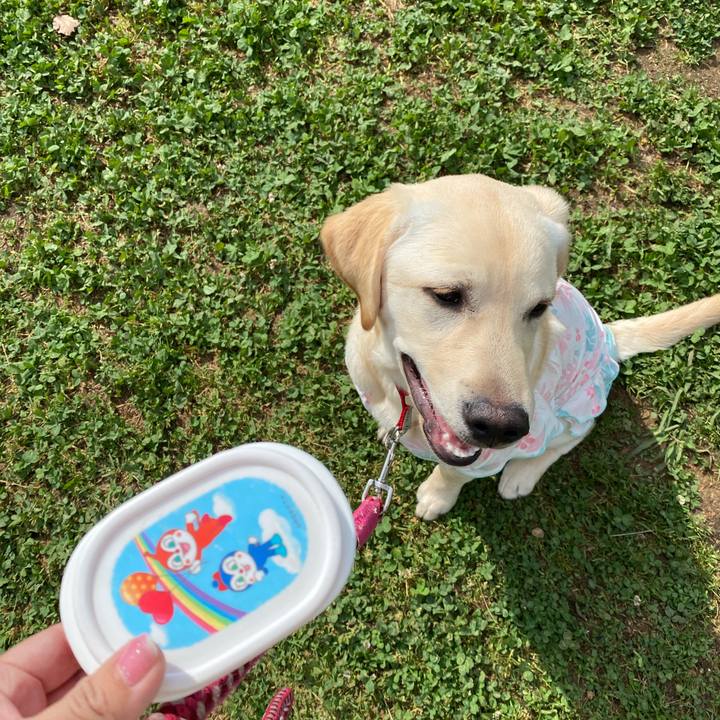 608565f6 4bc0 4529 be86 e6be7fd99020 1619698888076