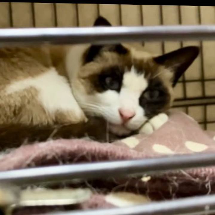 60859c26 414a 4f70 96da 5168ba75f12e 1741167281324