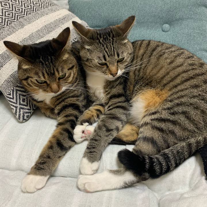 6085c787 e202 4b82 9705 e73a63717ae7 1643035221781