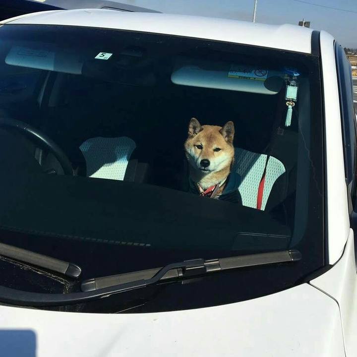 6085e205 037a 4fab b8bf 283871a87db8 1549199548658