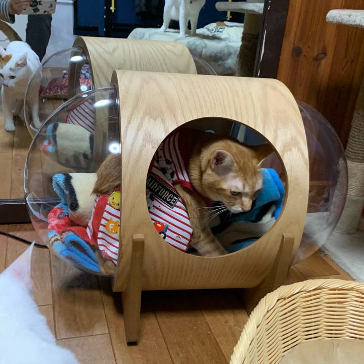 6085e2e9 e254 4dd7 9393 67465554e9a0 1581543334380