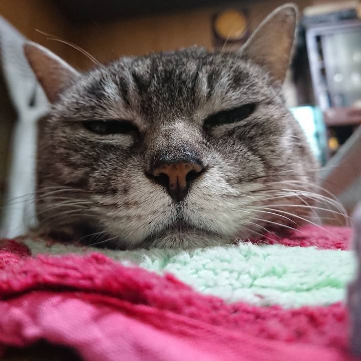 6085e846 a8f0 4d9b aa08 1db1435dcb03 1556791931715