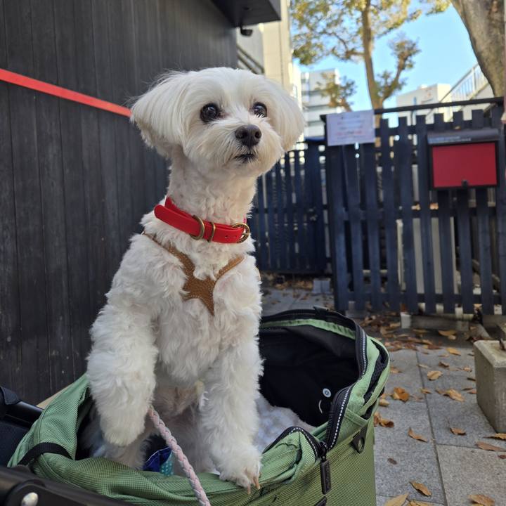 6085f68c 833d 4995 9b76 7cd52380d801 1766218649628