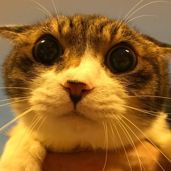 60860cad df2a 4738 baec 921563c3b95b 1550414398003