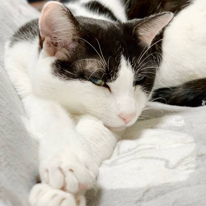 60861a4c b883 48d4 8768 0fae4318245d 1553046685989