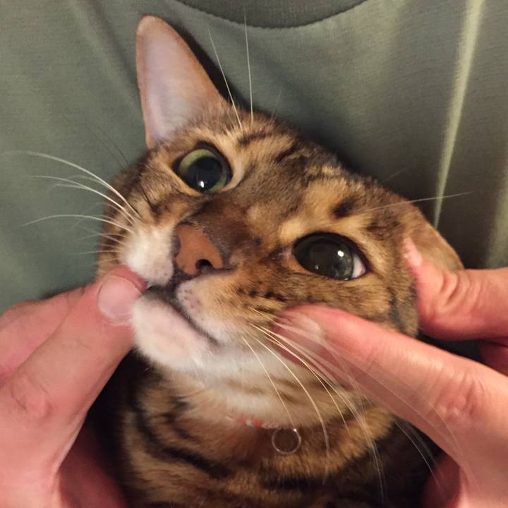 60861bfe 144c 4283 9d15 512fb75244aa 1508541399947