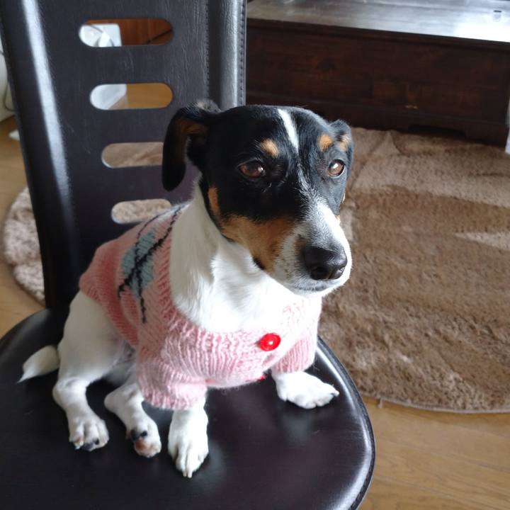 6086211f 2731 4b0a a2ee ff1d09e5b57f 1578060653334