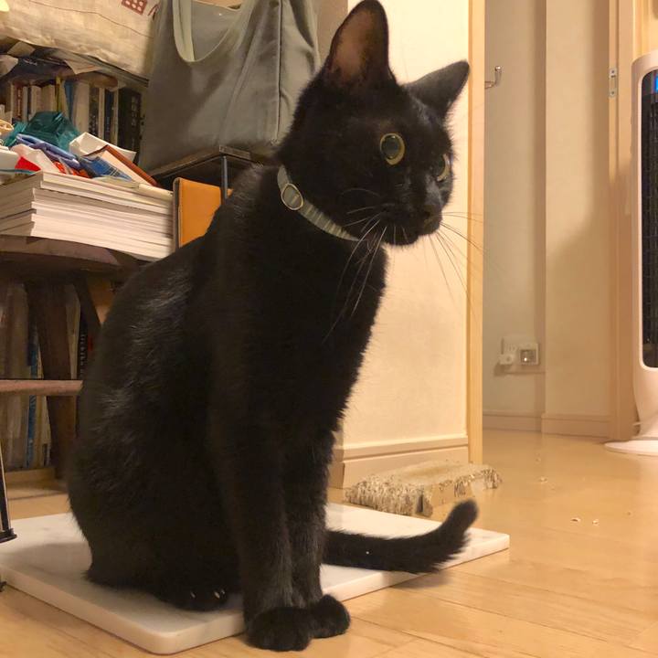 60862288 efd3 4cca 9a3e 73366d3997f4 1570205930198