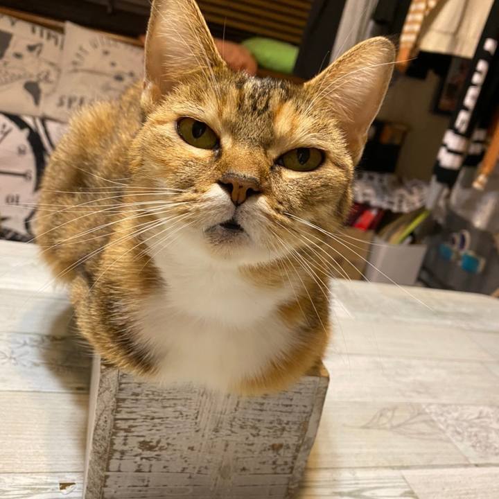 60863b15 83f3 46ce 863d ae83e6168111 1605449286586