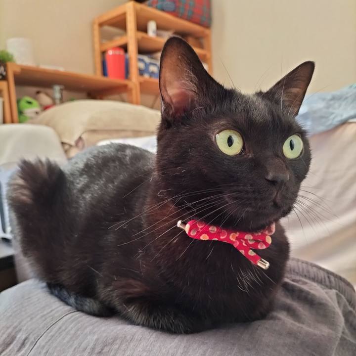 608648ea 5b4d 4781 a69c bbe2c0f417cc 1632782143368