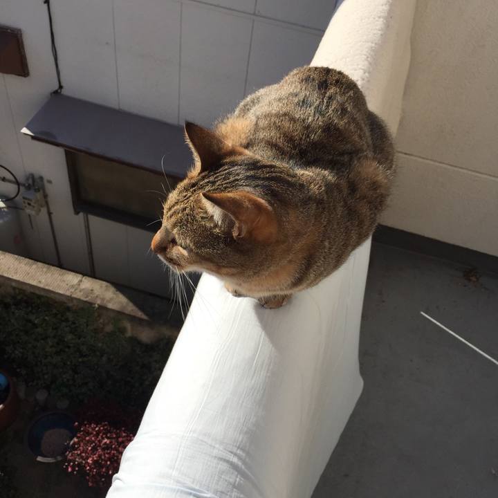 6086928a ac6c 4bb1 909b 5636a612da6a 1515806984837