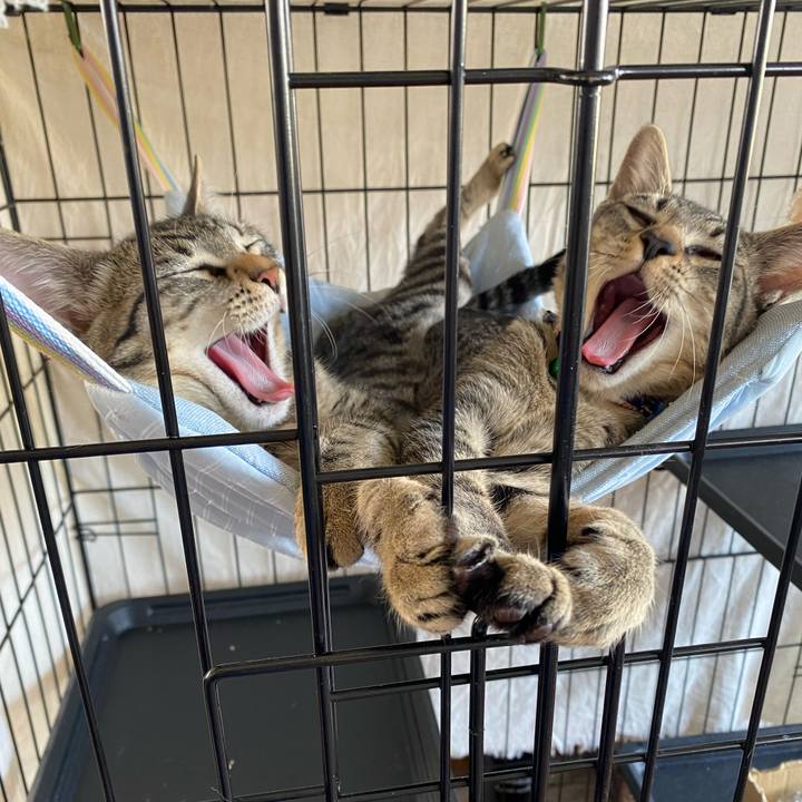 6086a6c2 31a0 4b38 9f84 eaaeb119bcc5 1727500430086