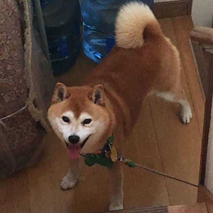 6086bbe2 a21a 490c 861b 72c2fcdc699f 1556610853924