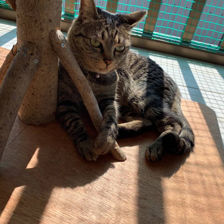 6086c0a0 389f 4bcf a2dc 00a42544d95d 1553049360295