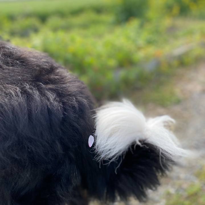 6086c5a5 232d 4dc0 9448 ce016b7bf9d2 1680406932242